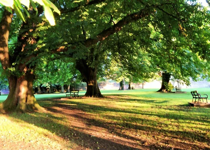 Avalon Retreat Self Catering Vegetarian Accommodation In The Heart Of Glastonbury